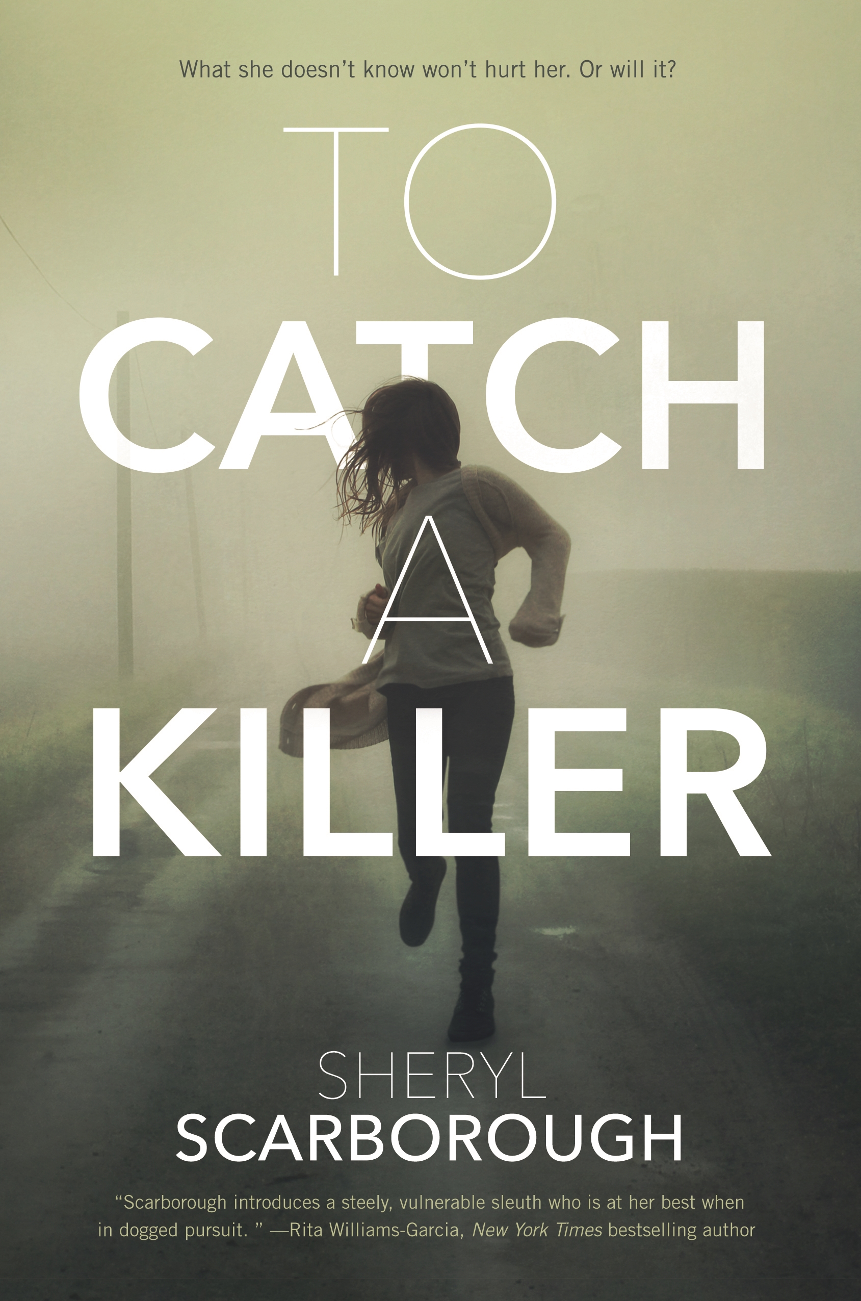 To Catch a Killer : A Novel by Sheryl Scarborough