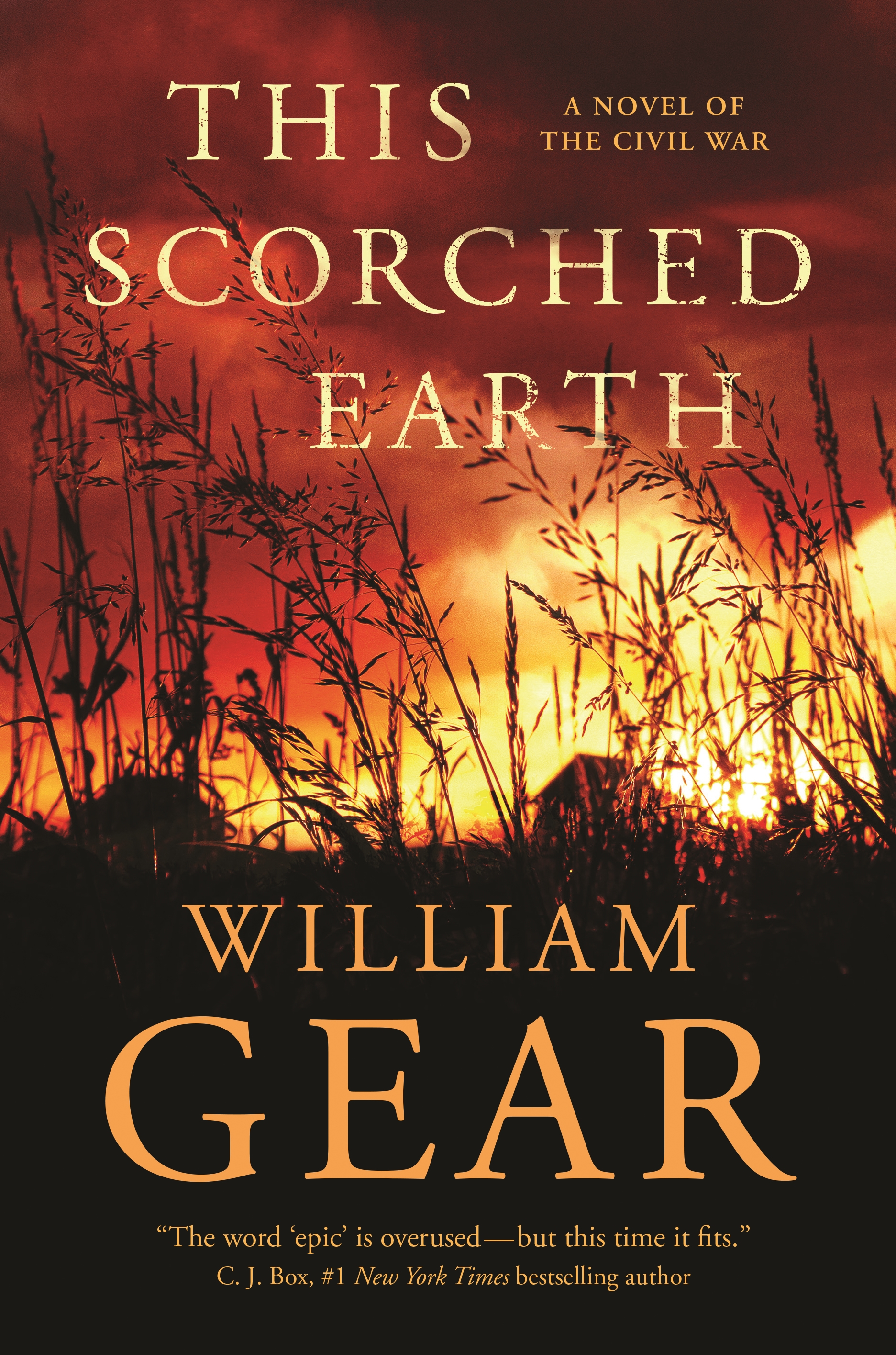 This Scorched Earth : A Novel of the Civil War and the American West by William Gear