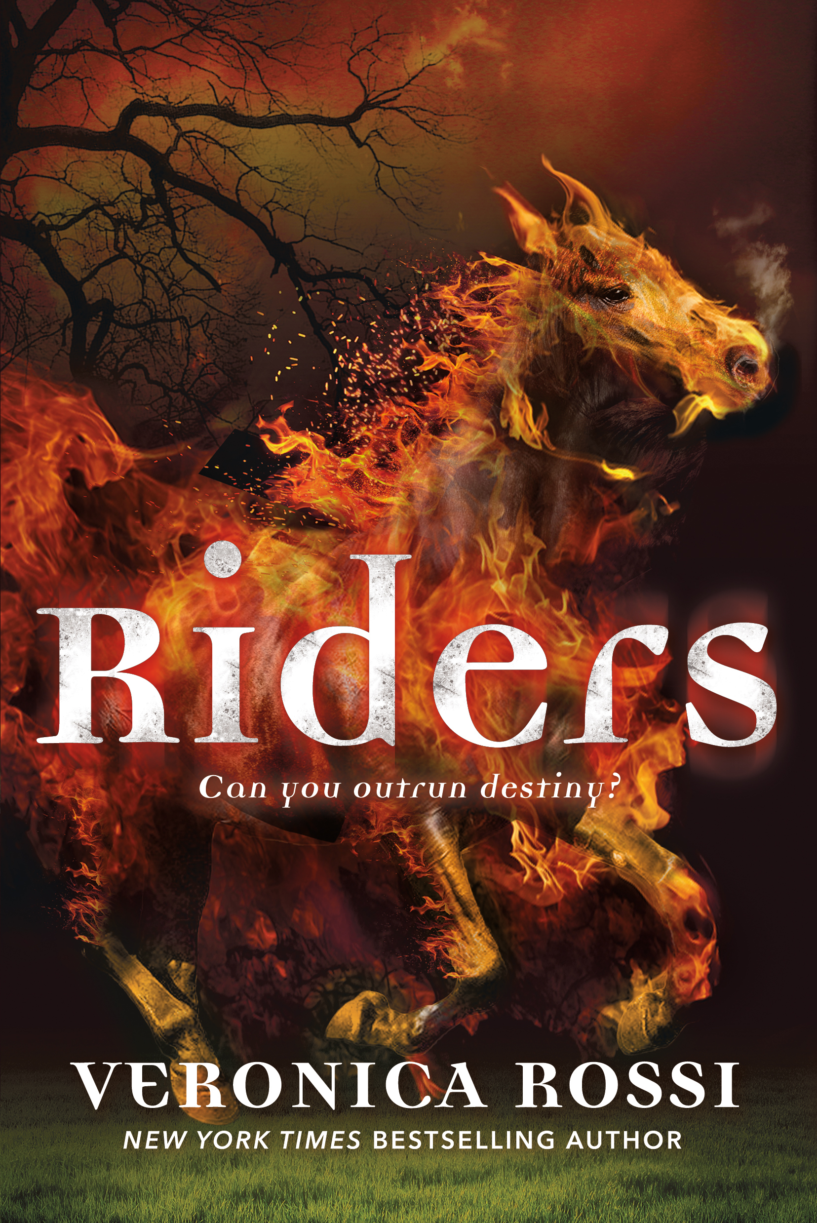 Riders by Veronica Rossi