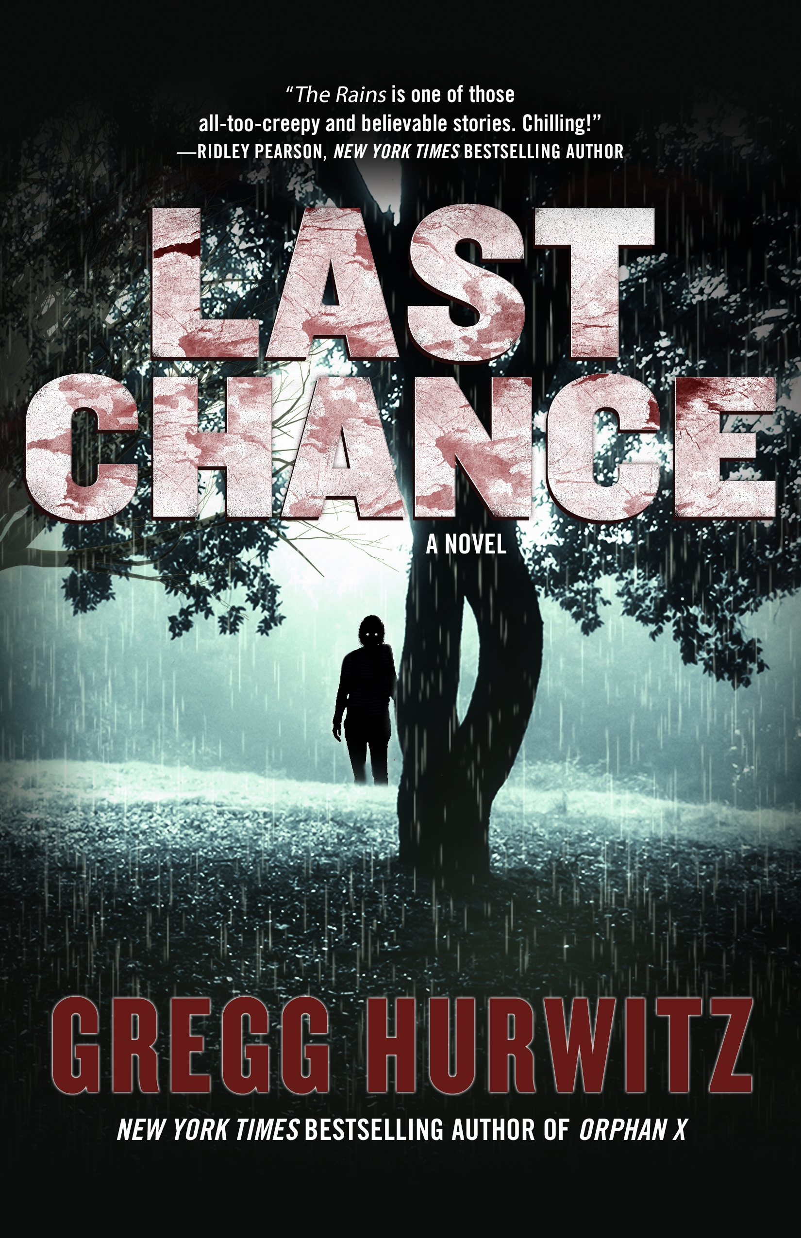 Last Chance : A Novel by Gregg Hurwitz
