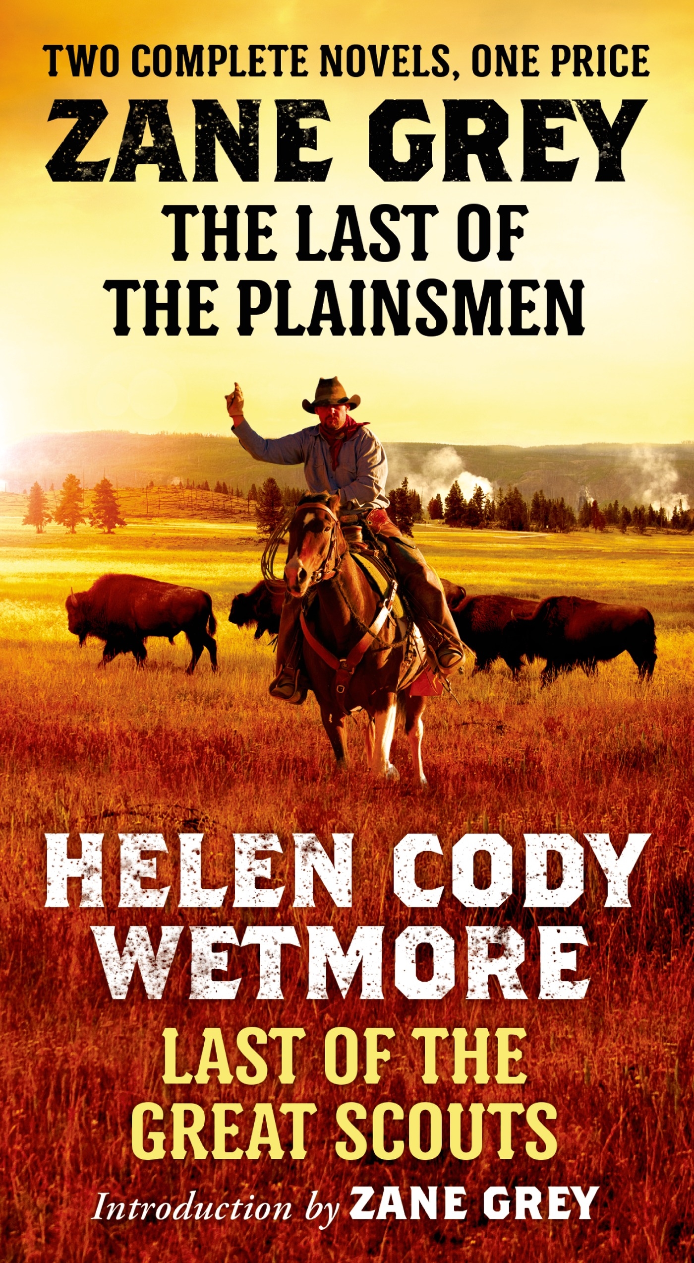 The Last of the Plainsmen and Last of the Great Scouts : Two Complete Novels by Zane Grey, Helen Cody Wetmore