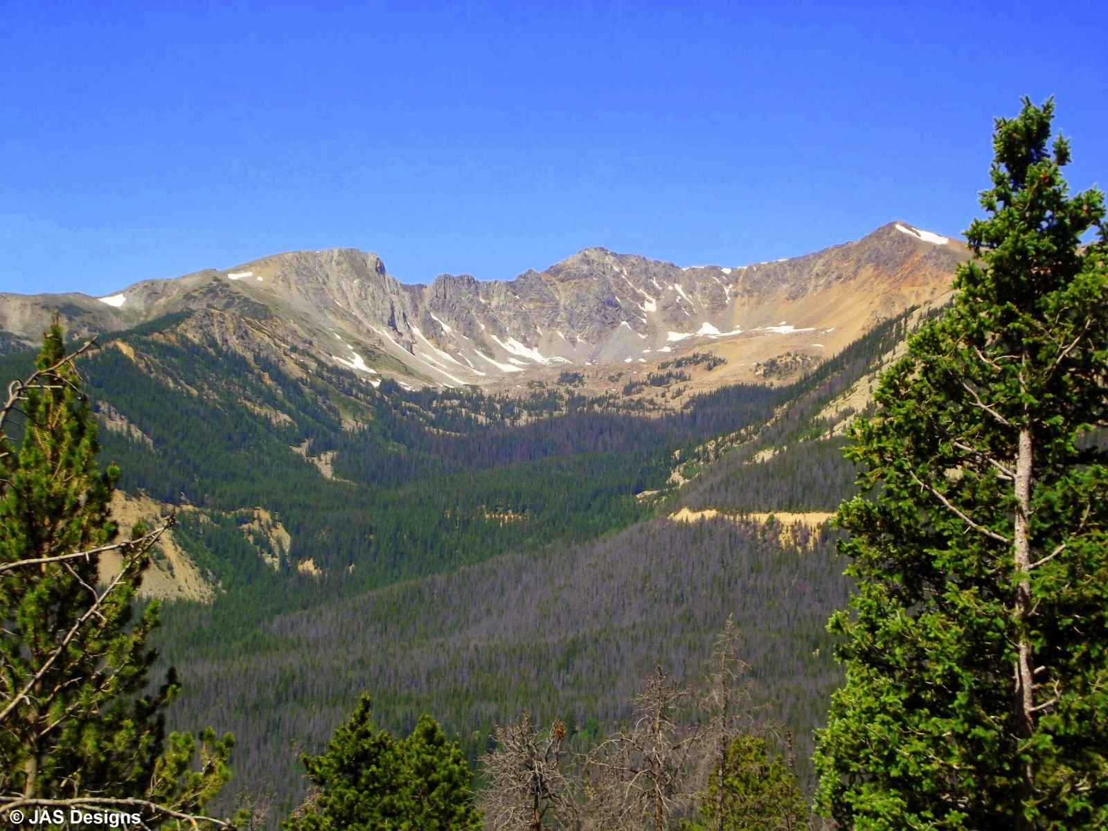 A View from Western Trailridge