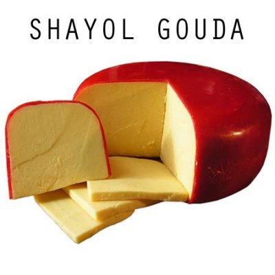 Shayol Gouda