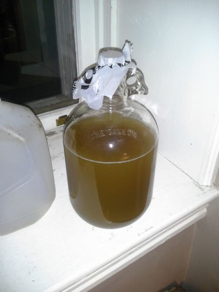 Hard cider in the making!