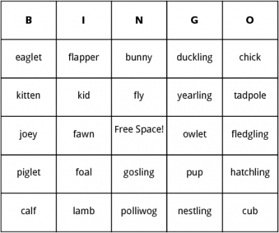 baby-animals-bingo.png