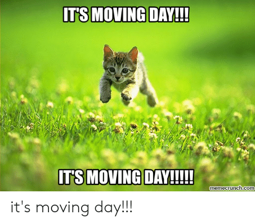 its-moving-day-itsmoving-day-memecrunch-com-its-moving-day-52806846.png.7017bfc10d83aeb923e4b2a48e470fb7.png