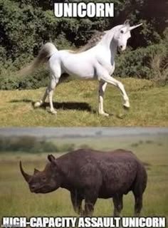 unicorn.jpg.3175516d791c2ece93143aca1e9a49e9.jpg